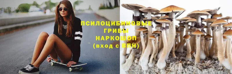 дарк нет клад  ОМГ ОМГ зеркало  Ужур  Псилоцибиновые грибы Magic Shrooms 